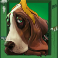 purrrminator-slot-basset-hound-symbol