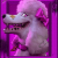 purrrminator-slot-poodle-symbol