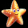raging-waterfall-megaways-slot-starfish-symbol