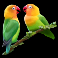 serengeti-sunset-slot-birds-symbol