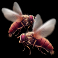 serengeti-sunset-slot-blowflies-symbol