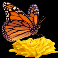 serengeti-sunset-slot-butterfly-symbol