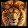 serengeti-sunset-slot-lion-symbol