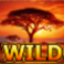 serengeti-sunset-slot-wild-symbol