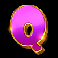 the-dog-house-royal-hunt-slot-q-symbol