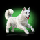 volcano-goddess-slot-dog-symbol