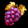 wild-wild-joker-slot-grapes-symbol