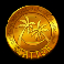 1001-mystery-genie-fortunes-slot-scatter-symbol