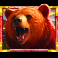 5-wild-buffalo-2-slot-bear-symbol