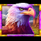 5-wild-buffalo-2-slot-eagle-symbol