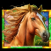 5-wild-buffalo-2-slot-horse-symbol