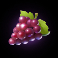 chicks-in-vegas-slot-grapes-symbol