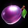 chicks-in-vegas-slot-plum-symbol