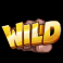 fighter-pit-slot-wild-symbol