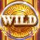 gods-of-troy-megaways-slot-wild-symbol