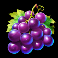 hold-the-joker-slot-grapes-symbol