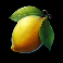 hold-the-joker-slot-lemon-symbol