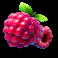 hold-the-joker-slot-raspberries-symbol