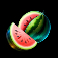 hold-the-joker-slot-watermelon-symbol