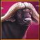 majestic-megaways-buffalo-symbol