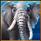 majestic-megaways-elephant-symbol