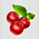the-ruby-megaways-slot-cherries-symbol