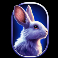 tiger-doublemax-slot-rabbit-symbol