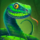 tiger-shrine-slot-snake-symbol