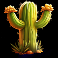 wild-canyon-slot-cactus-symbol
