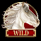 divine-fortune-black-slot-wild-symbol