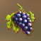 dolce-far-niente-grapes-symbol