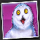 dumb-and-dumber-route-to-riches-snowy-owl-symbol