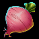 farmtastic-slot-beetroot-symbol