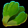 farmtastic-slot-lettuce-symbol