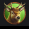 wolf-strike-hold-n-win-extra-deer-symbol