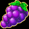 cash-goddess-slot-grapes-symbol