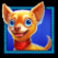 chilli-heat-spicy-spins-slot-chihuahua -symbol