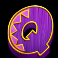 chilli-heat-spicy-spins-slot-q-symbol