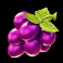 club-tropicana-happy-hour-slot-grapes-symbol