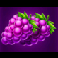fruit-coins-hold-and-win-grapes-symbol