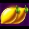 fruit-coins-hold-and-win-lemons-symbol
