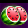 fruit-coins-hold-and-win-watermelons-symbol