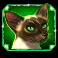 kitty-glitter-grand-slot-green-cat-symbol