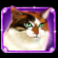 kitty-glitter-grand-slot-purple-cat-symbol