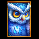 temple-guardians-owl-symbol