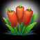 3 mad frogs orange flowers symbol