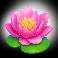 3 mad frogs pink flower symbol
