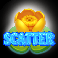 3 mad frogs scatter symbol