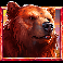 5 wild wolves bear symbol