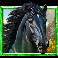 5 wild wolves horse symbol